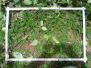 CE_286_3_4563d