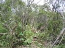 CE_286_4_4564