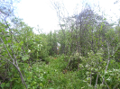 CE_287_0_1670
