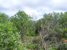 CE_287_1_1672