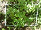 CE_287_1_1673a