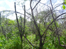 CE_287_2_1677
