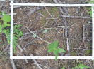 CE_287_2_1680c