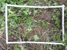 CE_287_2_1681d