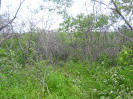 CE_287_3_1684