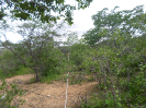 CE_287_4_1689
