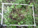 CE_288_2_4582d