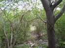 CE_290_1_4454
