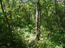 CE_291_2_3809