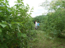 CE_292_3_4824