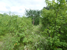 CE_292_4_4829