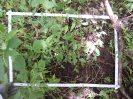 CE_293_2_4794d