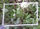 CE_293_3_4799d