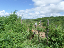 CE_293_4_4800