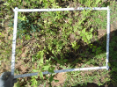 CE_293_4_4804c