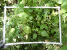 CE_293_4_4805d