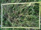 CE_294_4_3728c