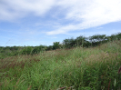 CE_295_0_3886