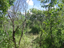 CE_295_1_3906