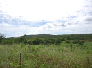 CE_295_2_3893