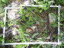 CE_303_3_4415b