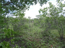 CE_303_4_4418