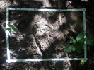 CE_304_4_2038c