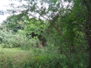 CE_306_0_3742