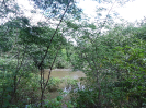 CE_306_3757