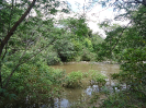 CE_306_3758