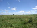 CE_307_0_3655