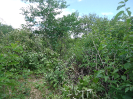 CE_308_4_3932