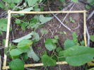 CE_308_4_3934b