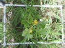 CE_309_1_5002d