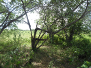 CE_309_2_5003