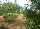 CE_310_3_2111