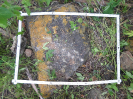 CE_312_1_1713c