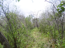 CE_312_2_1715