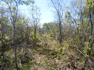 CE_314_2_2693