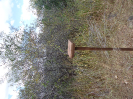 CE_315_3852