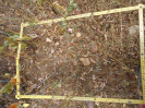 CE_315_3_3847b
