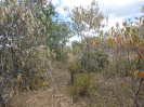 CE_315_4_3840