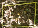 CE_318_1_3784c