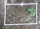 CE_319_2_1998d