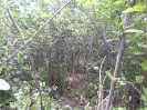 CE_319_2_1999