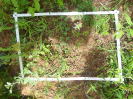 CE_319_3_2007a