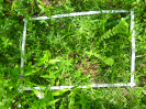 CE_319_3_2008b