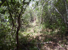 CE_321_3_4981