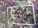 CE_321_4_4987a