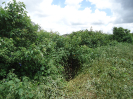 CE_324_4_4209
